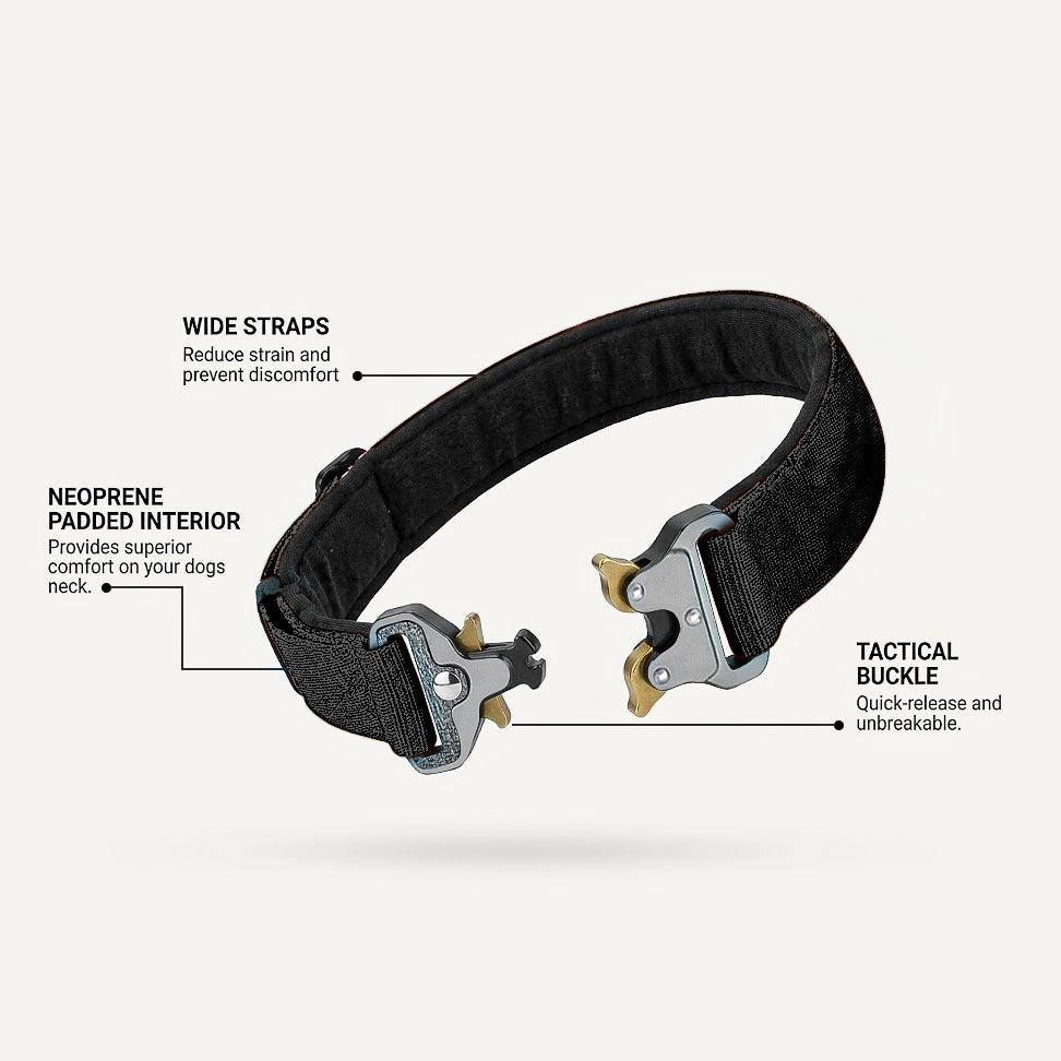 Taktisches Hundehalsband