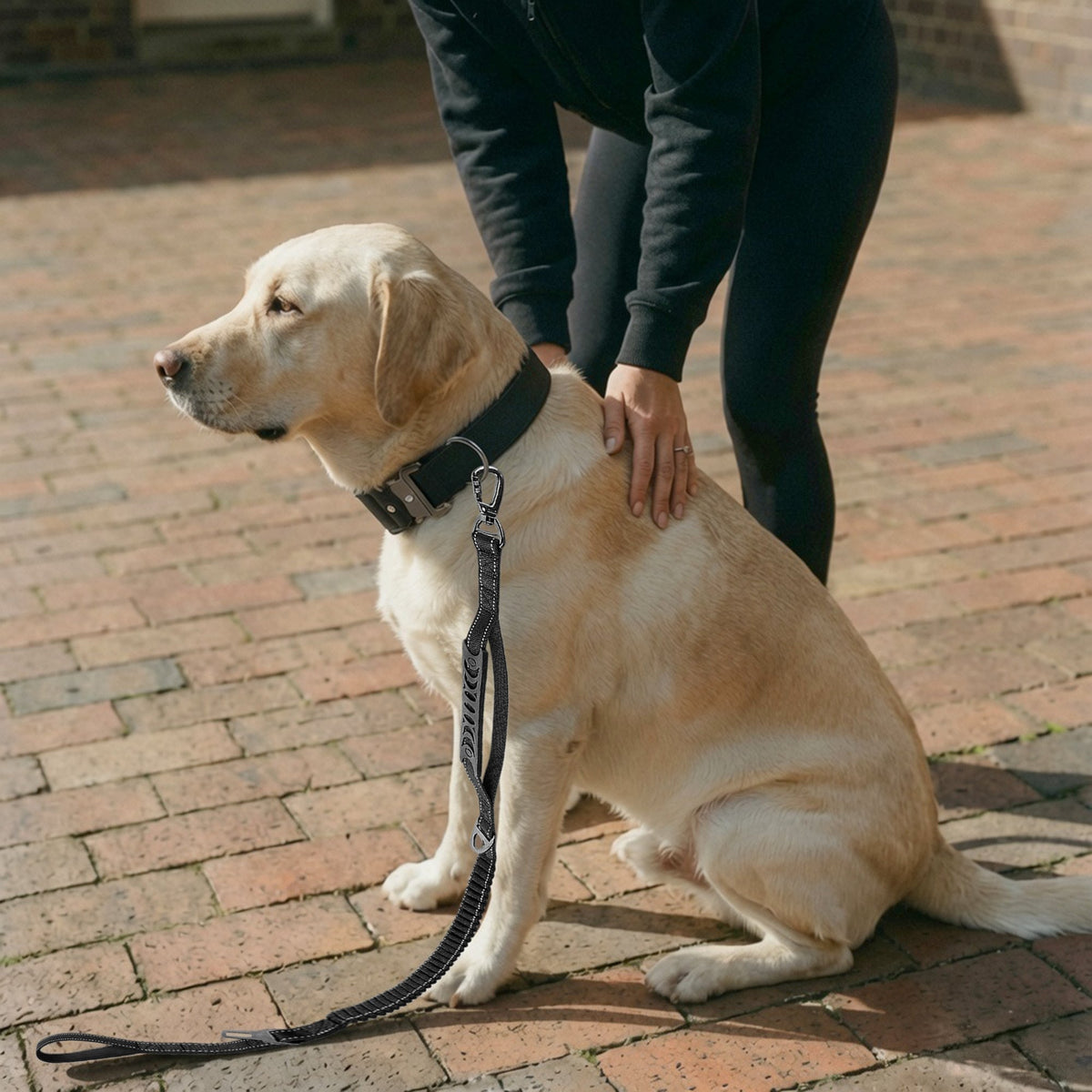 Taktisches Hundehalsband